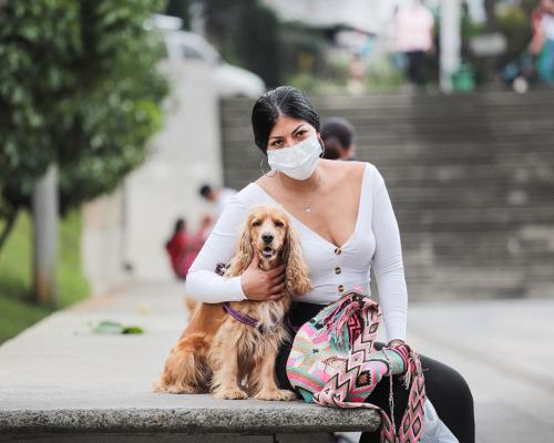 FotografoFoto Alcaldía de Medellín:Para viajar con animales de compañía en Semana Santa, se recomienda tomar medidas que garanticen su protección y bienestar. 